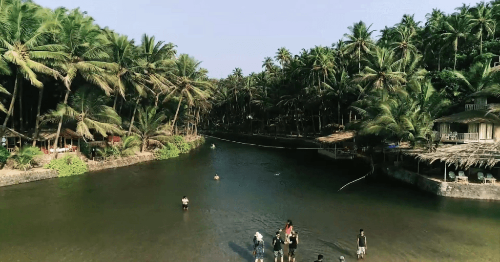 Cola Beach in south goa