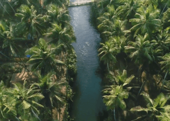 Cola beach south goa - South Goa itinerary