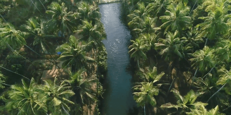 Cola beach south goa - South Goa itinerary