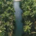 Cola beach south goa - South Goa itinerary