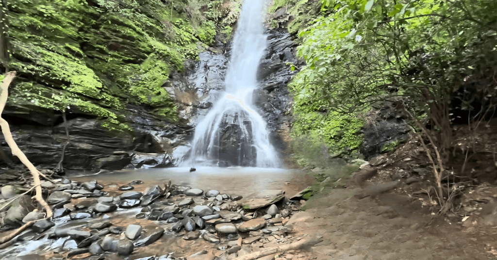 Panoramic view of Shivling Waterfall ecosystem showing waterfall