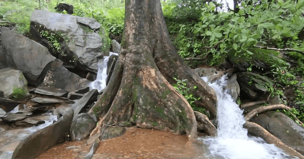 Monsoon view of Pali Waterfall (Shivling Waterfall) Goa showing full water flow,