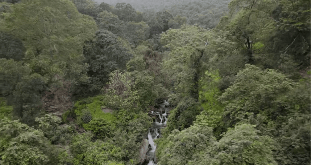 ariel of the natural Shivling rock formation at Pali Waterfall Valpoi