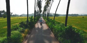 parra road shooting place