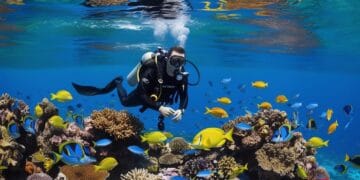 Scuba diving in Goa