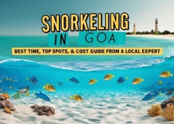 snorkeling in goa