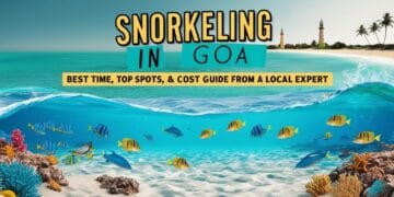 snorkeling in goa