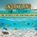 snorkeling in goa